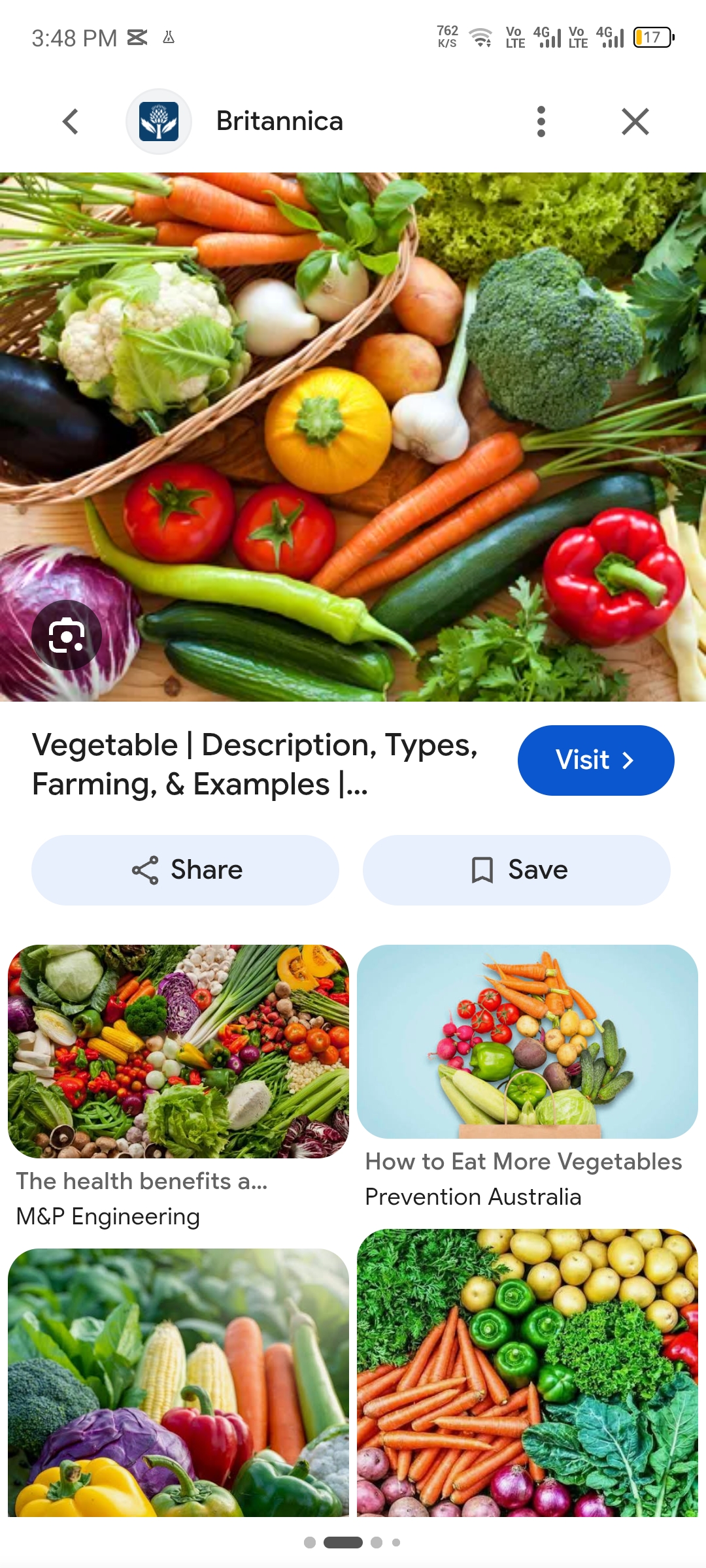 Vegetable